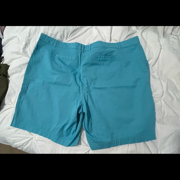 Women’s plus size shorts - Picture 2 of 4